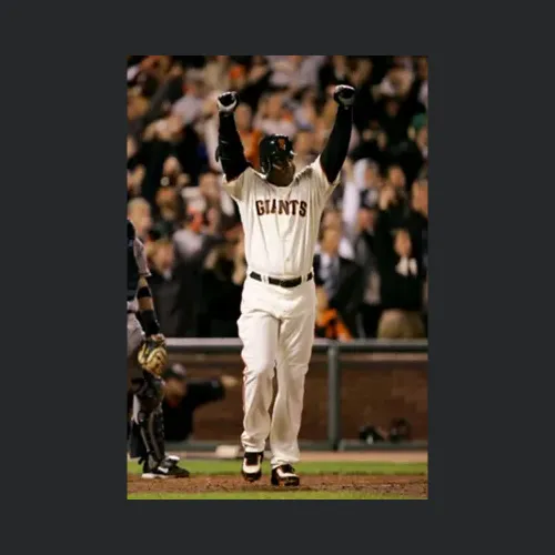 Barry Bonds Career Home Run