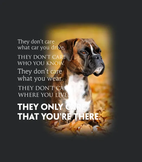 Boxer They Only Care Dog Lovers