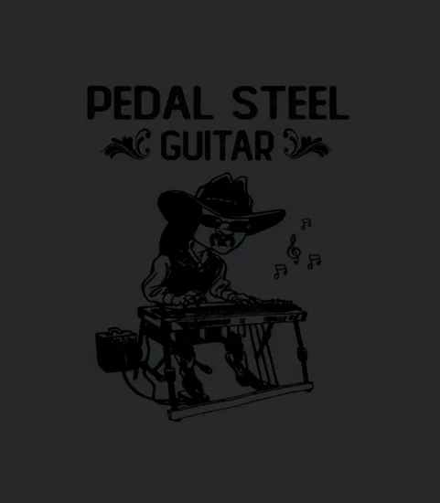 Pedal Steel Guitar Player Gift Lap Steel Guitar