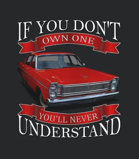 1965 Ford Galaxie
