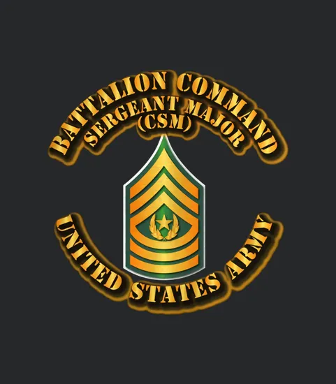 Army Battalion Command Sergeant Major