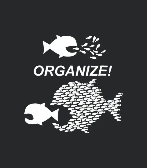 Big Fish Little Fish Pro Union Graphic Organize