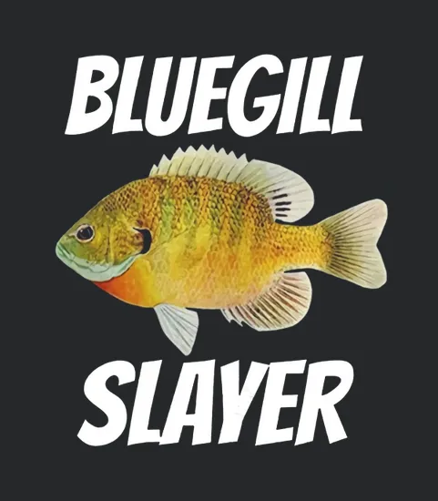Bluegill Slayer Fishing