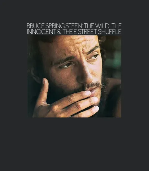 Rk70s The Wild The Innocent And The E Street Shuffle 1974 Bruce Springsteen