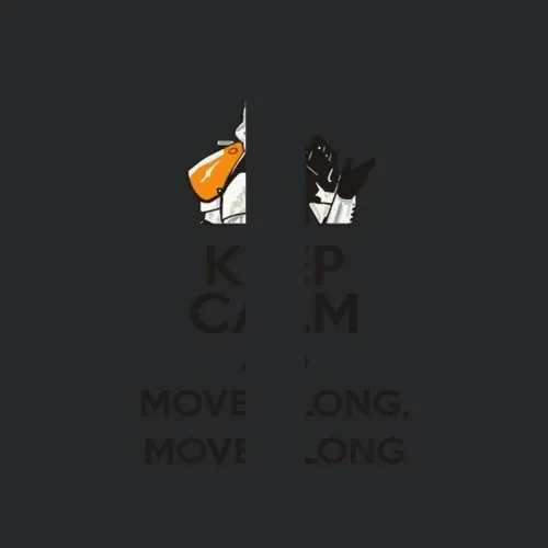 Funny Star Wars Stormtrooper Move Along Edition