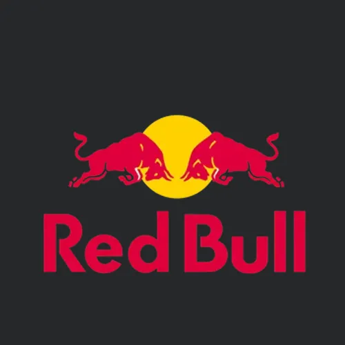 Bull Gives You Wings Energy Drink New