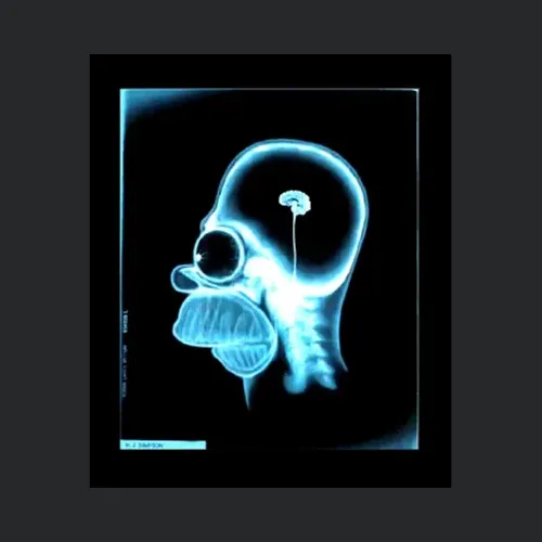Homer Simpson Brain Joe