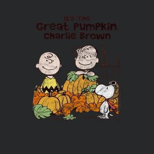 Itand039s The Great Pumpkin Charlie Brown 60s Tv Series Show Worn Look